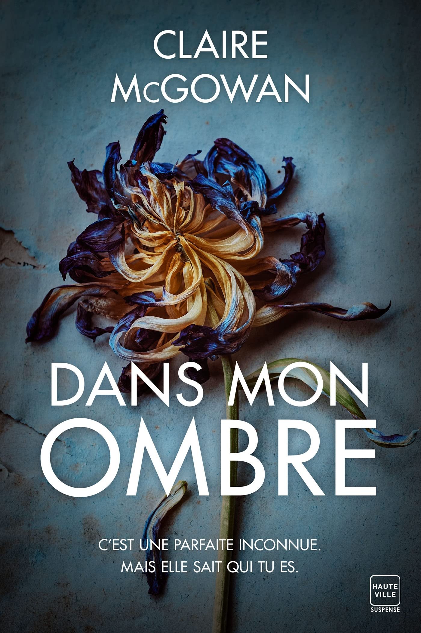 Claire McGowan – Dans mon ombre