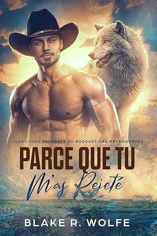 Blake R. Wolfe - Parce que tu mas rejeté