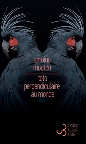 Antoine Mouton – Toto perpendiculaire au monde