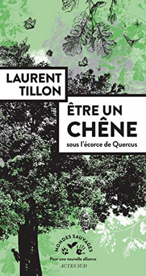 Laurent Tillon – Être un chêne : Sous l&rsquo;écorce de Quercus
