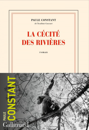 Paule Constant – La cécité des rivières