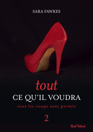 Sara Fawkes – Tout ce qu&rsquo;il voudra, tome 2 : Tous les coups sont permis